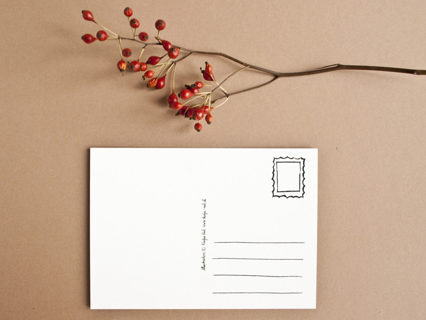 Postkarte A6 Elefant Rückseite