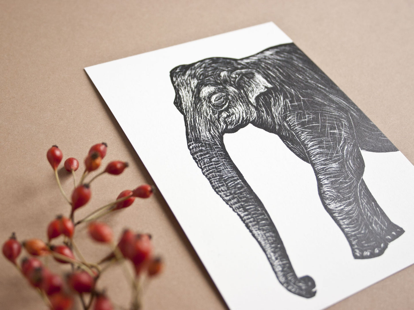 Postkarte A6 Elefant