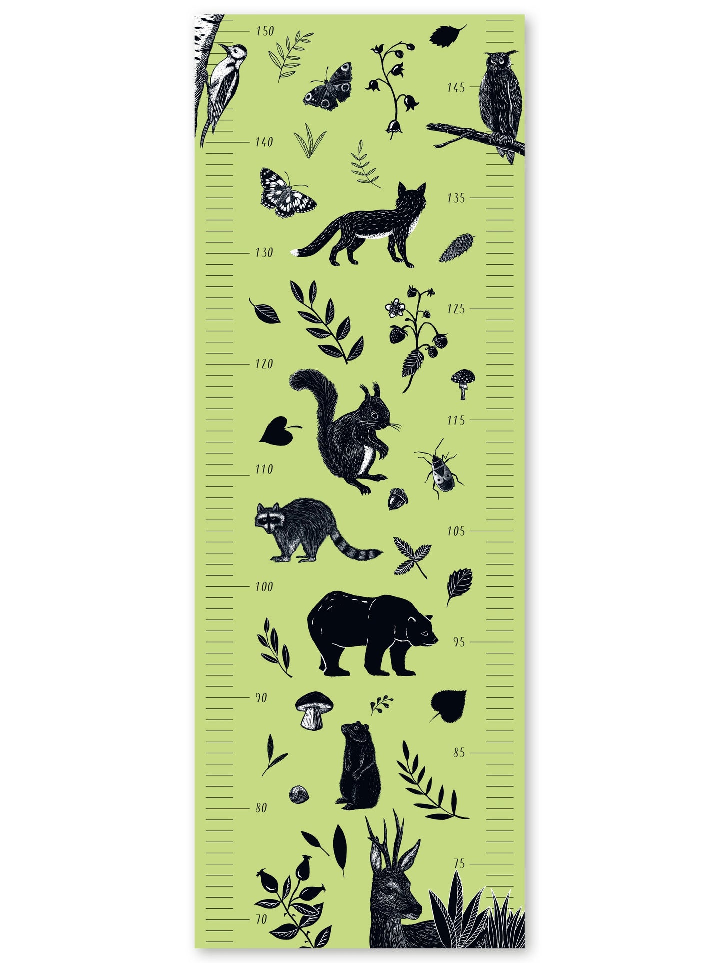 Messlatte Tiere Wald