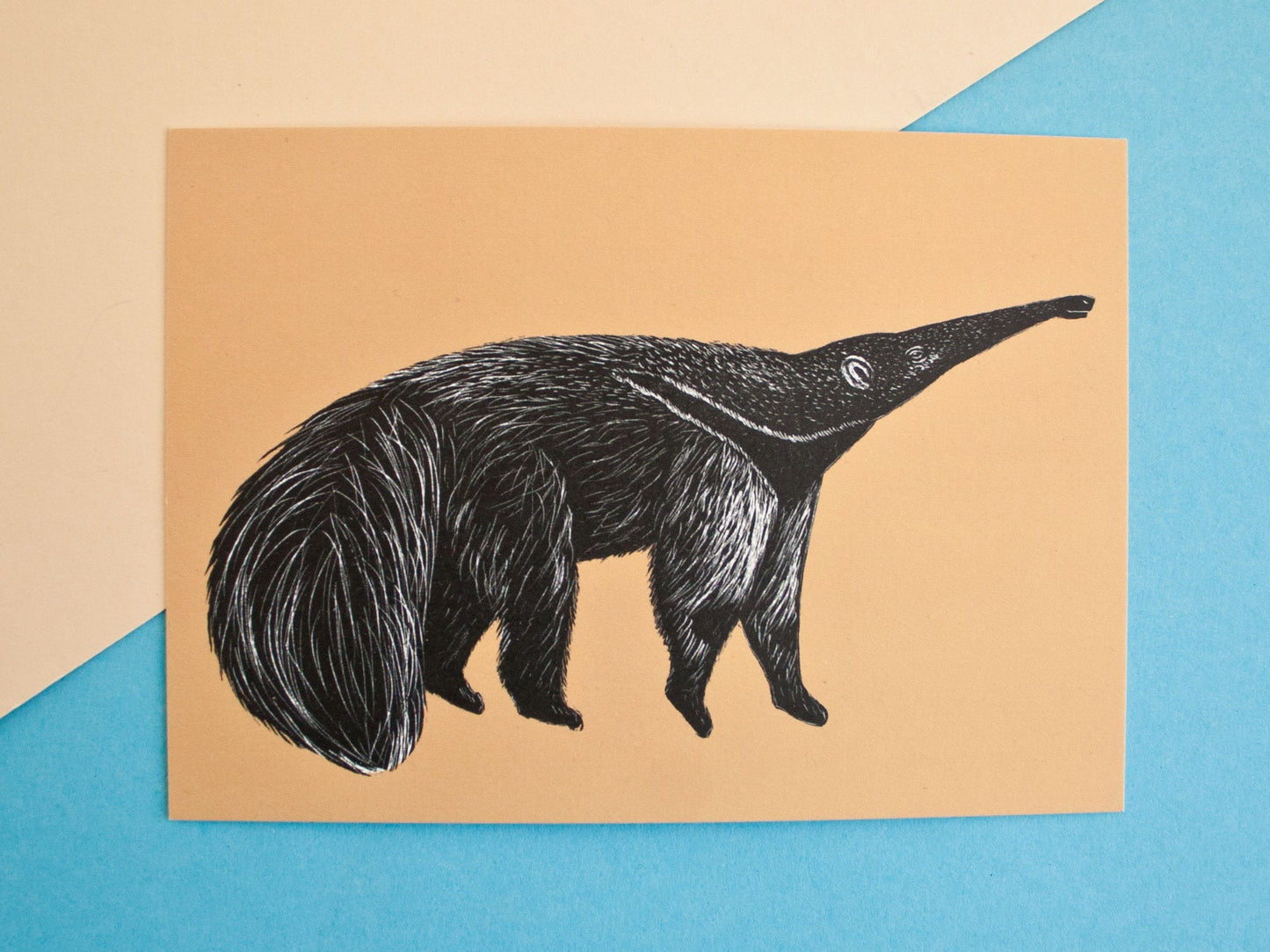 Postkarte A6 Ameisenbär