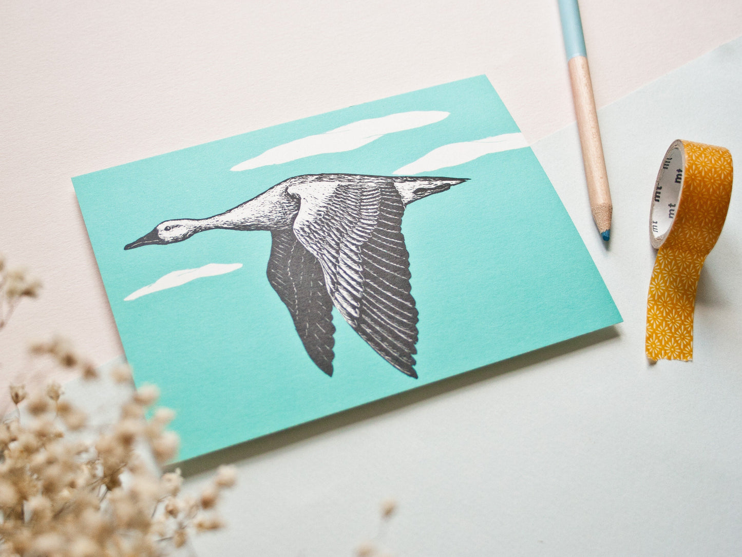 Postkarte A6 Graugans