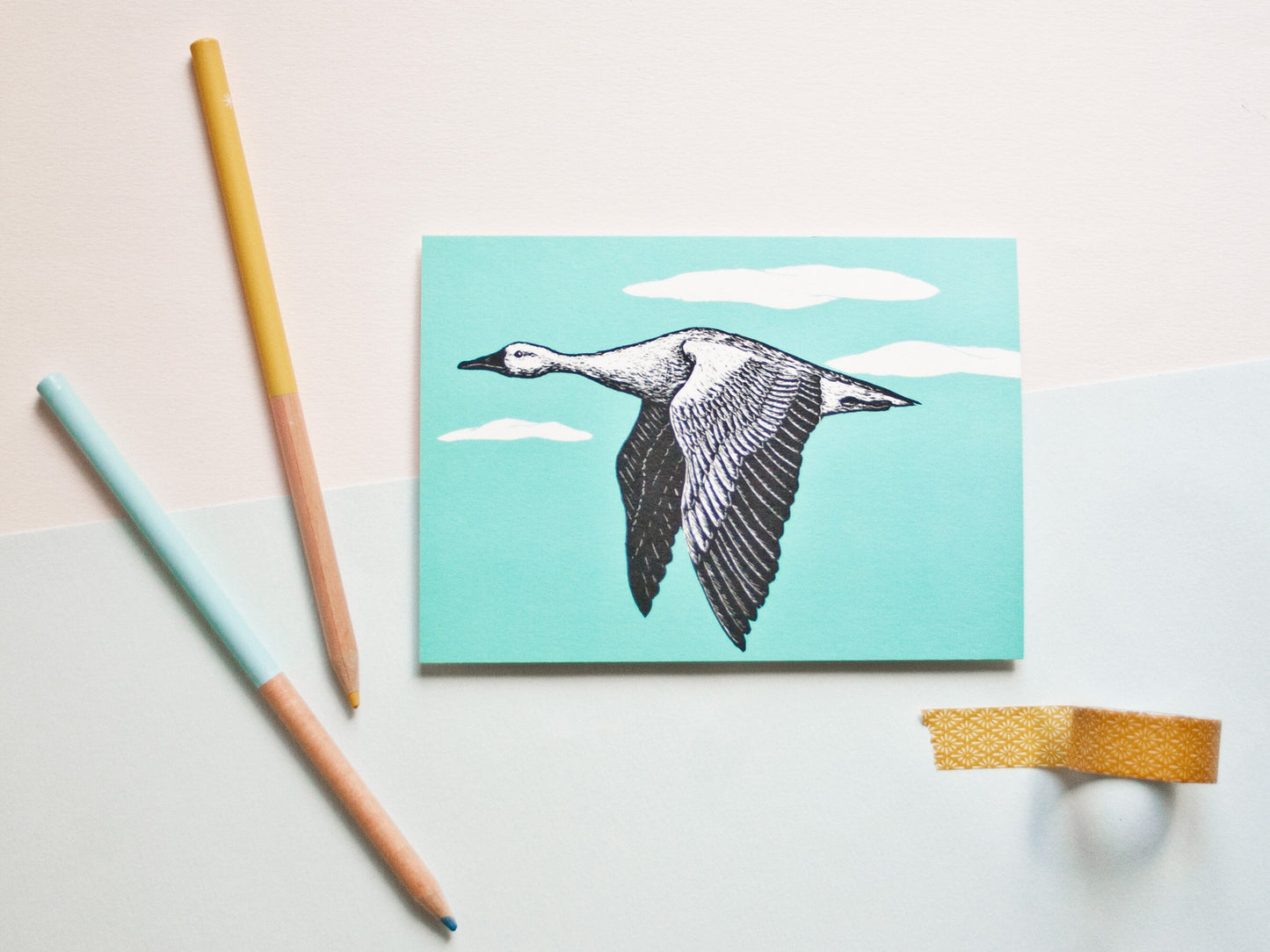 Postkarte A6 Graugans