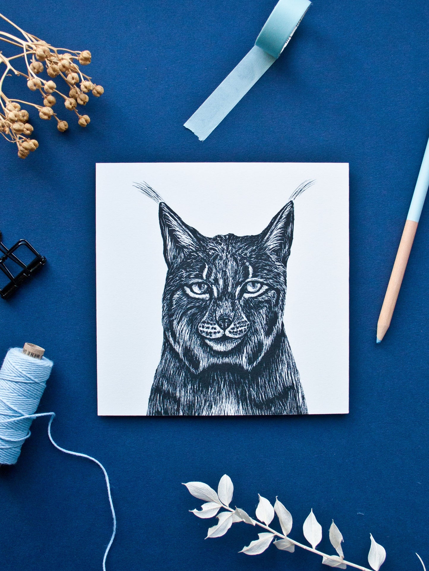 Quadratische Postkarte Luchs