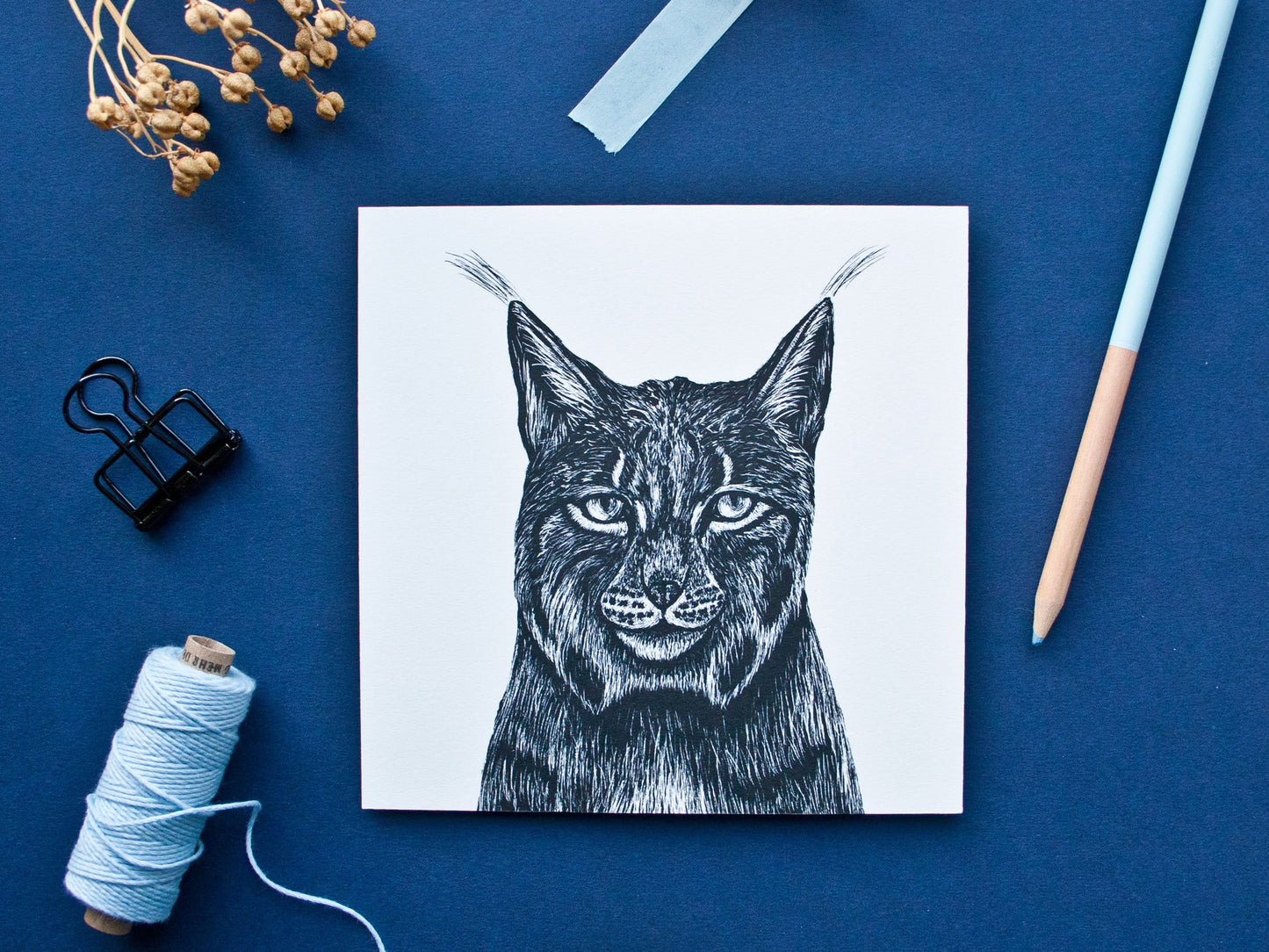 Quadratische Postkarte Luchs