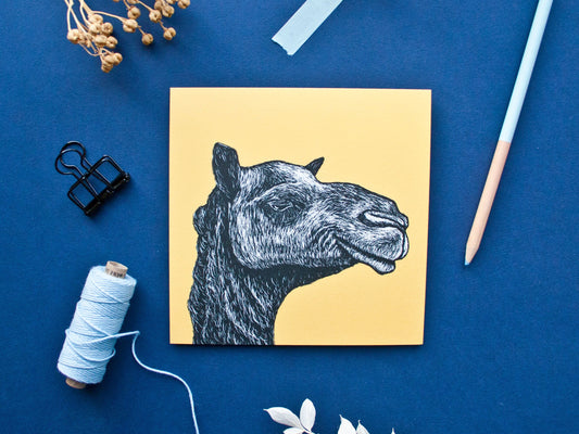Quadratische Postkarte Kamel