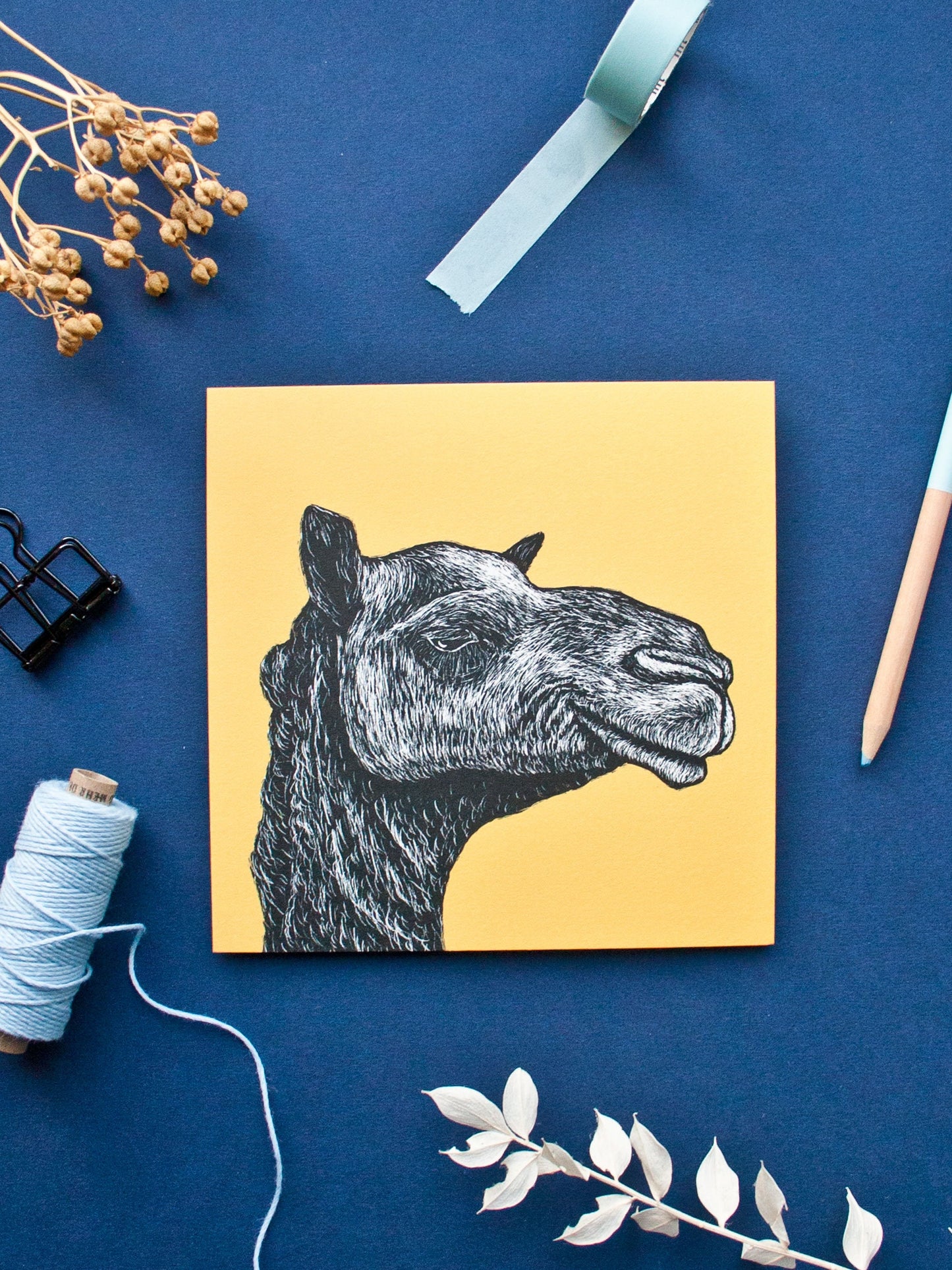 Quadratische Postkarte Kamel