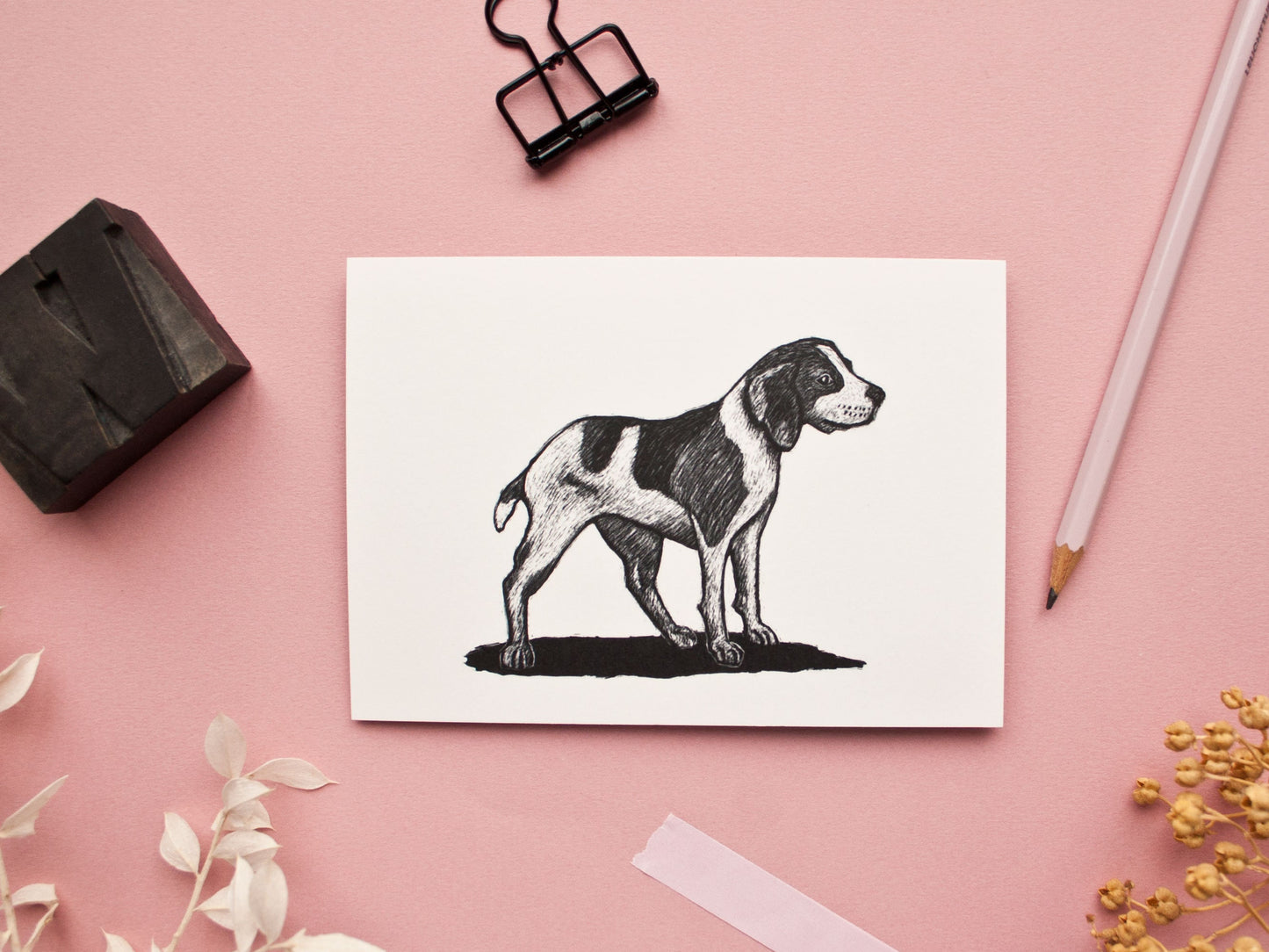 Postkarte A6 Beagle