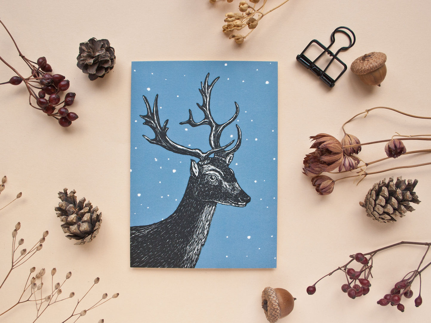 Postkarte A6 Damhirsch