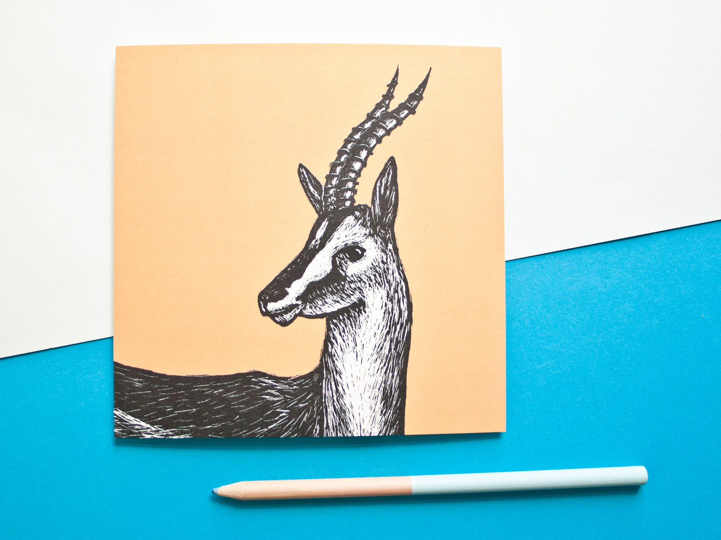 Quadratische Postkarte Gazelle