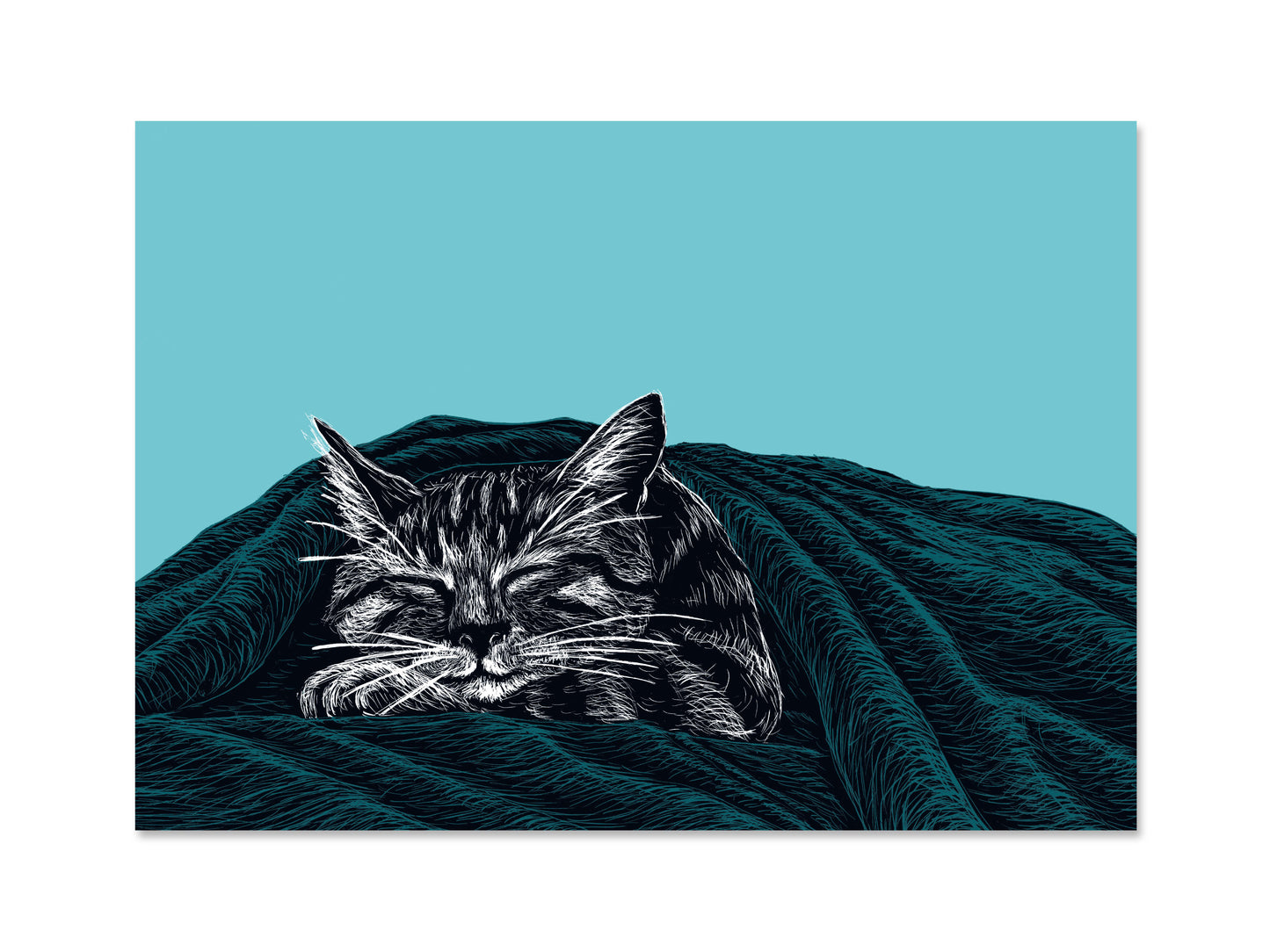 A4 Poster Schlafende Katze