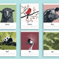 Tierkalender 2027 im A5 Format