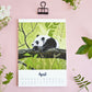 Tierkalender 2027 im A5 Format