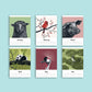Tierkalender 2027 im A5 Format