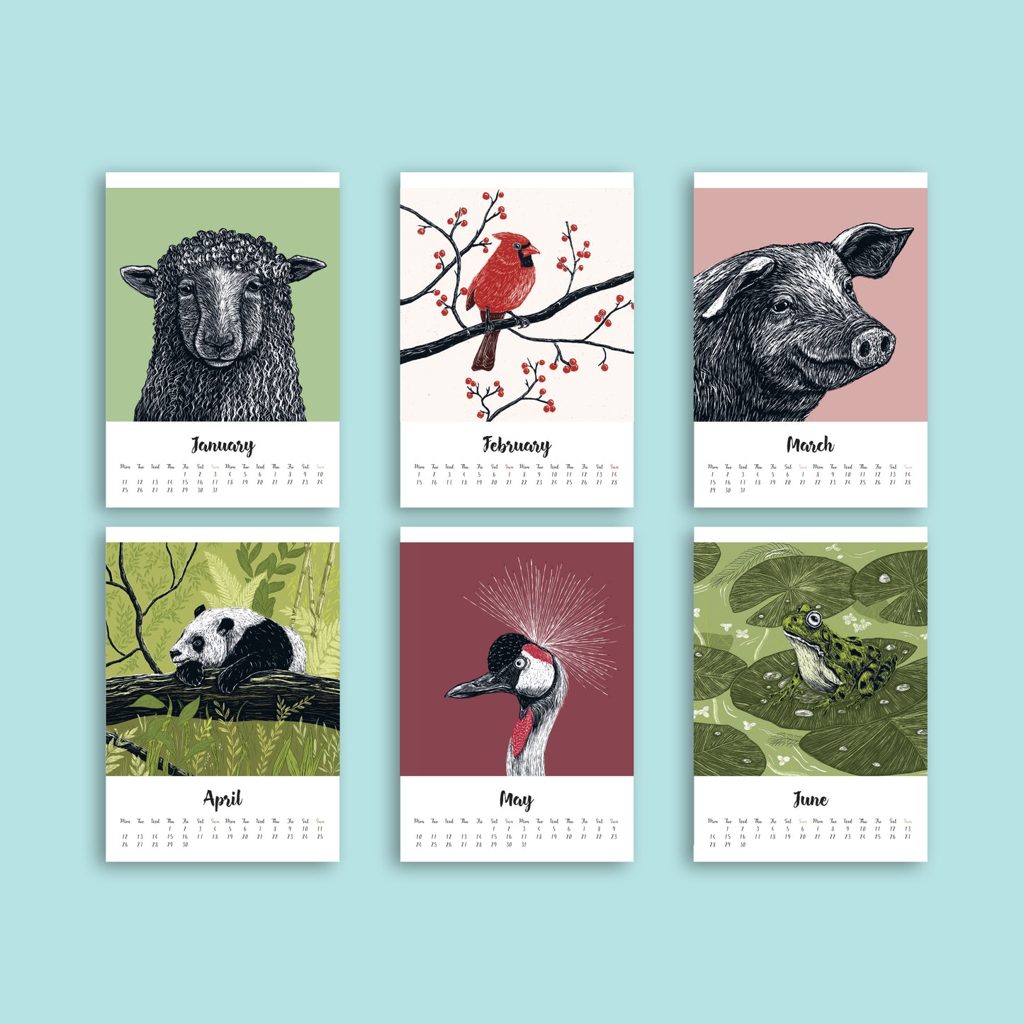 Tierkalender 2027 im A5 Format
