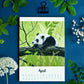 Kalender 2027 Tiere im A5 Format (englisches Kalendarium)