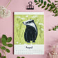 Tierkalender 2027 im A5 Format