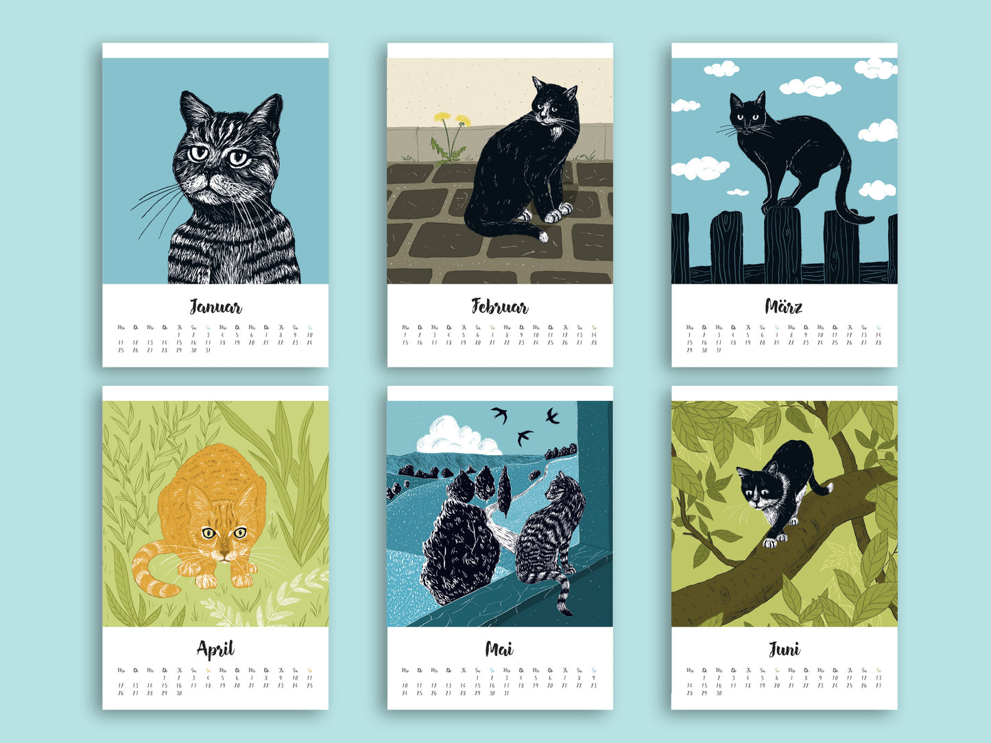 Katzenkalender 2027 im A5 Format