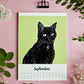 Katzenkalender 2027 im A5 Format