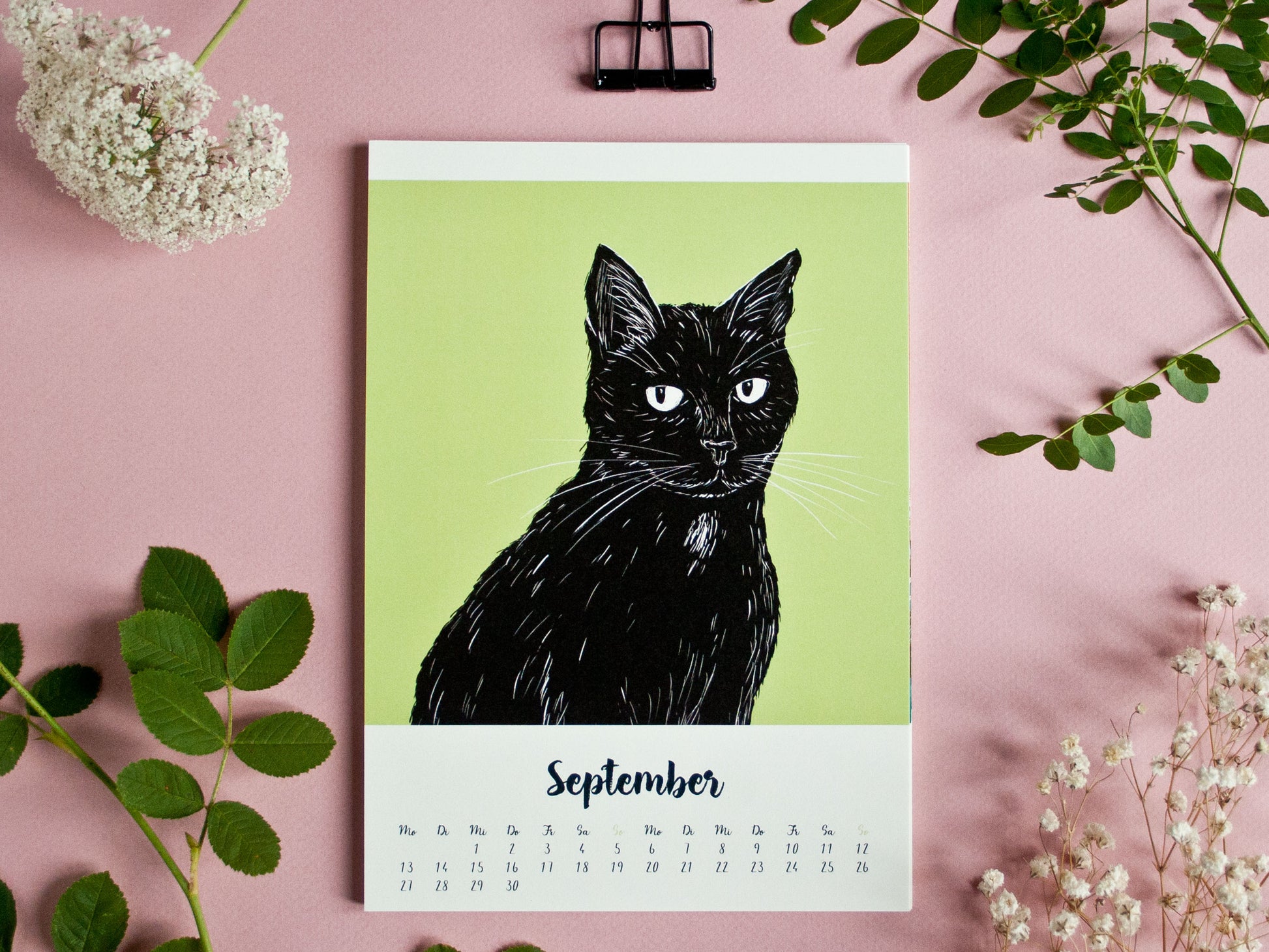 Katzenkalender 2027 im A5 Format