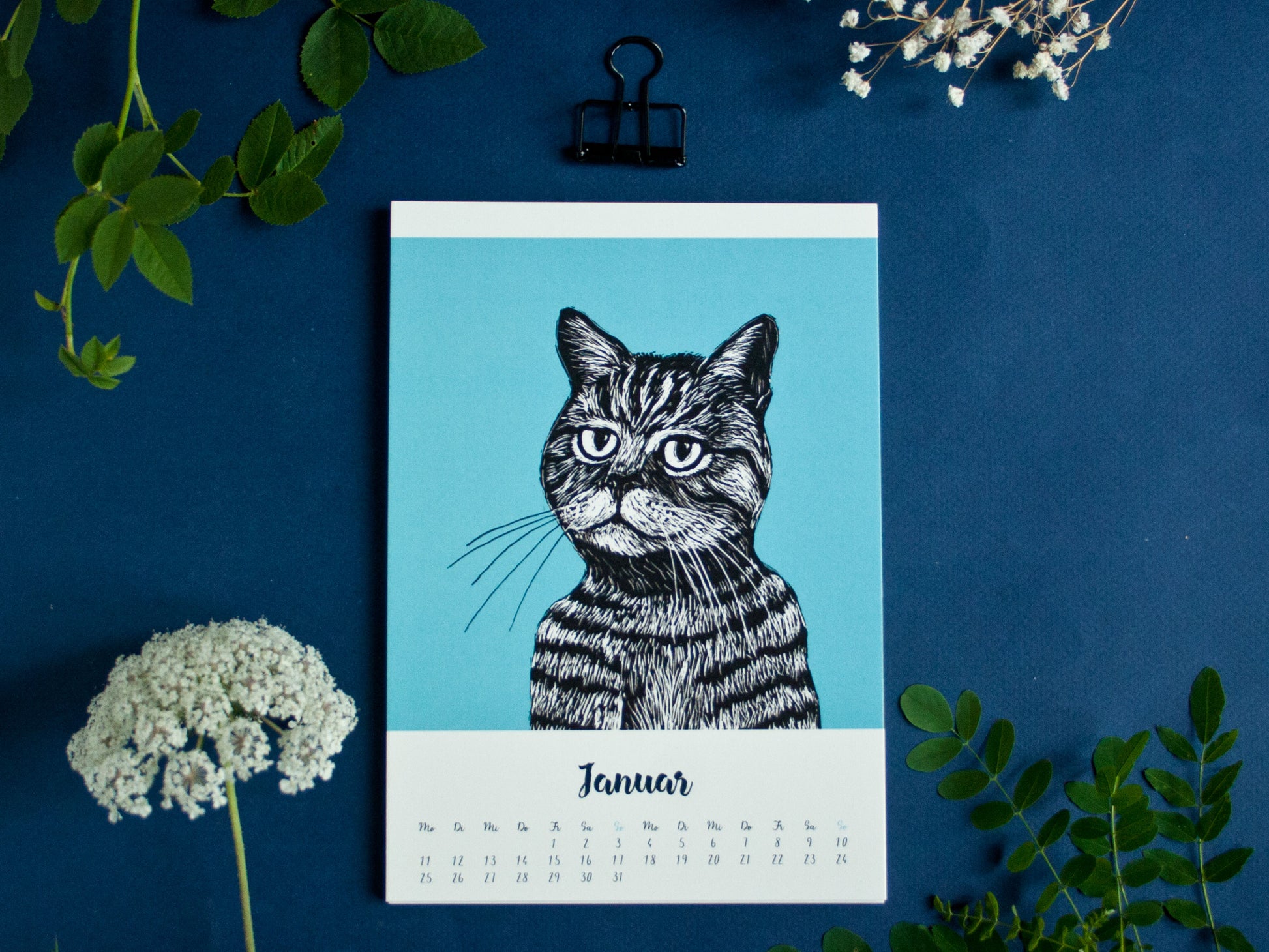 Katzenkalender 2027 im A5 Format