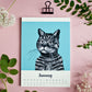 Katzen Kalender 2027 im A5 Format (englisches Kalendarium)