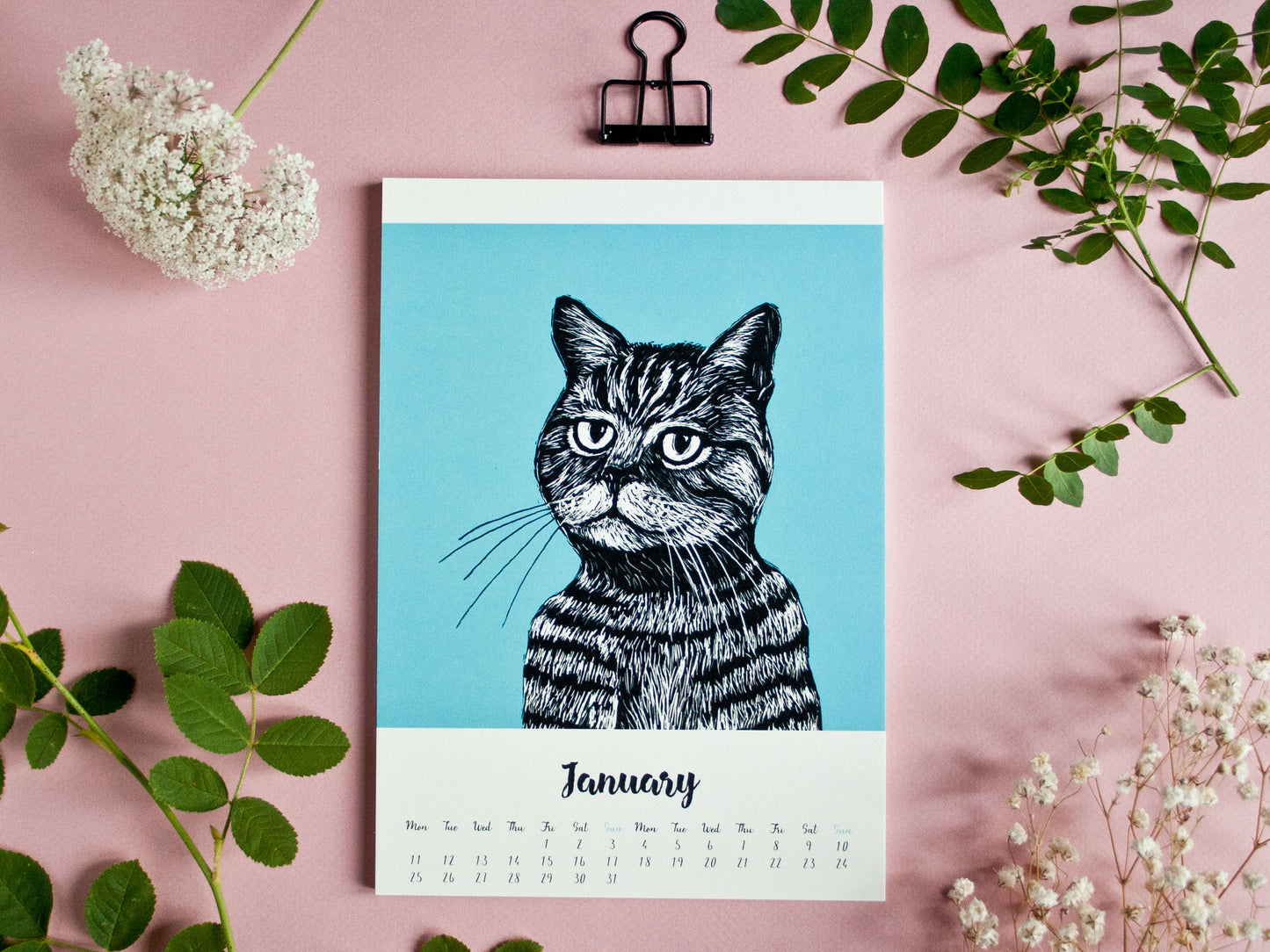Katzen Kalender 2027 im A5 Format (englisches Kalendarium)