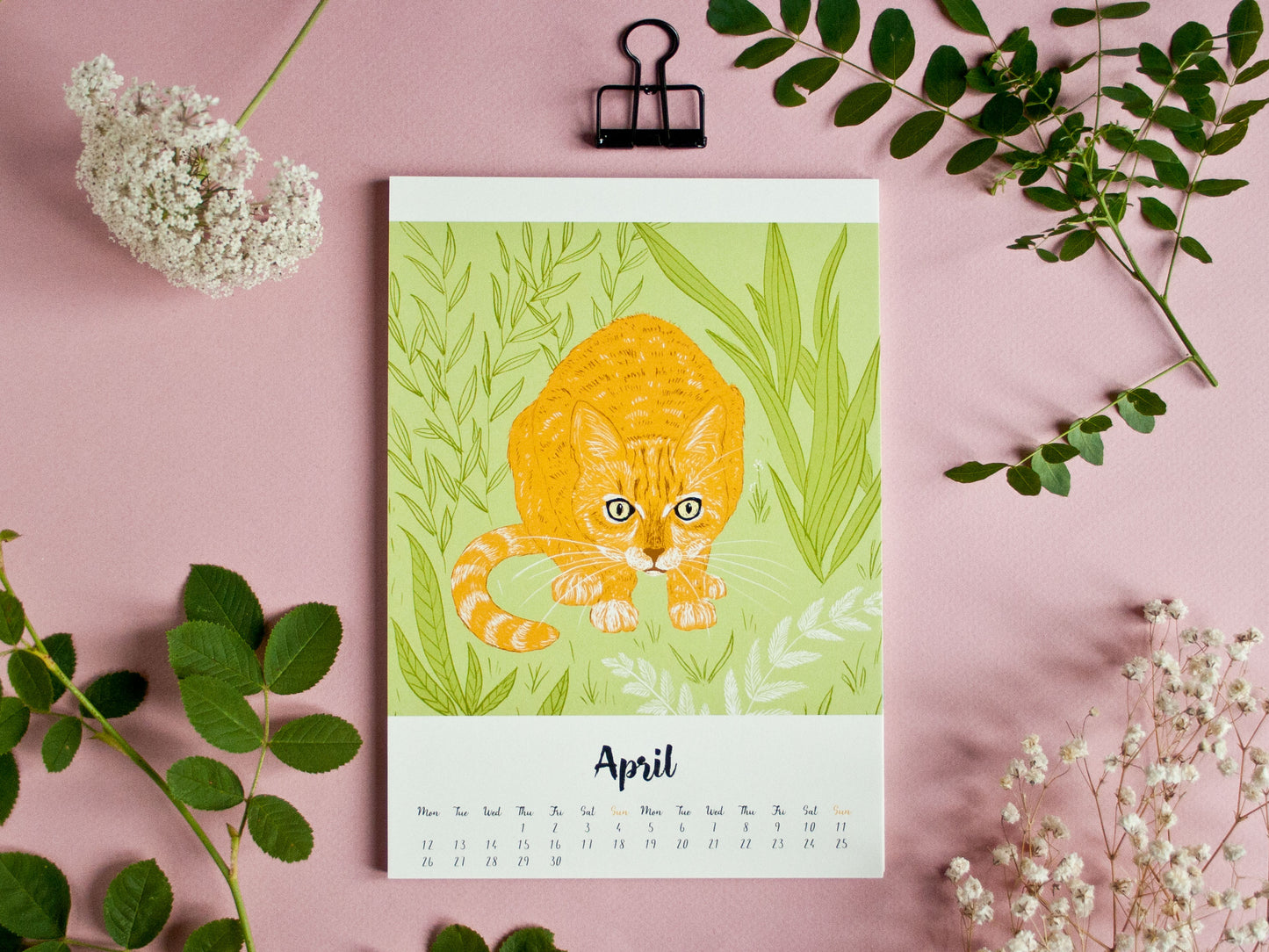 Katzen Kalender 2027 im A5 Format (englisches Kalendarium)