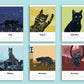 Katzen Kalender 2027 im A5 Format (englisches Kalendarium)