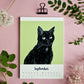 Katzen Kalender 2027 im A5 Format (englisches Kalendarium)