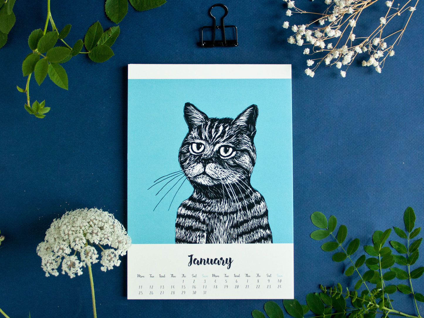 Katzen Kalender 2027 im A5 Format (englisches Kalendarium)