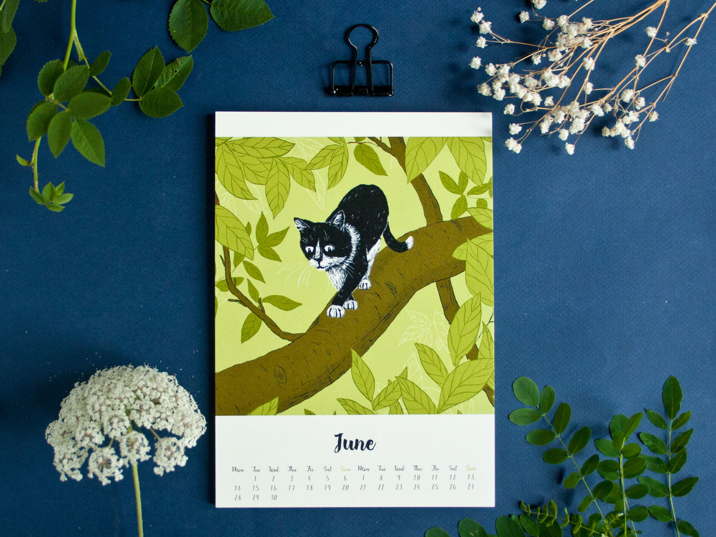 Katzen Kalender 2027 im A5 Format (englisches Kalendarium)
