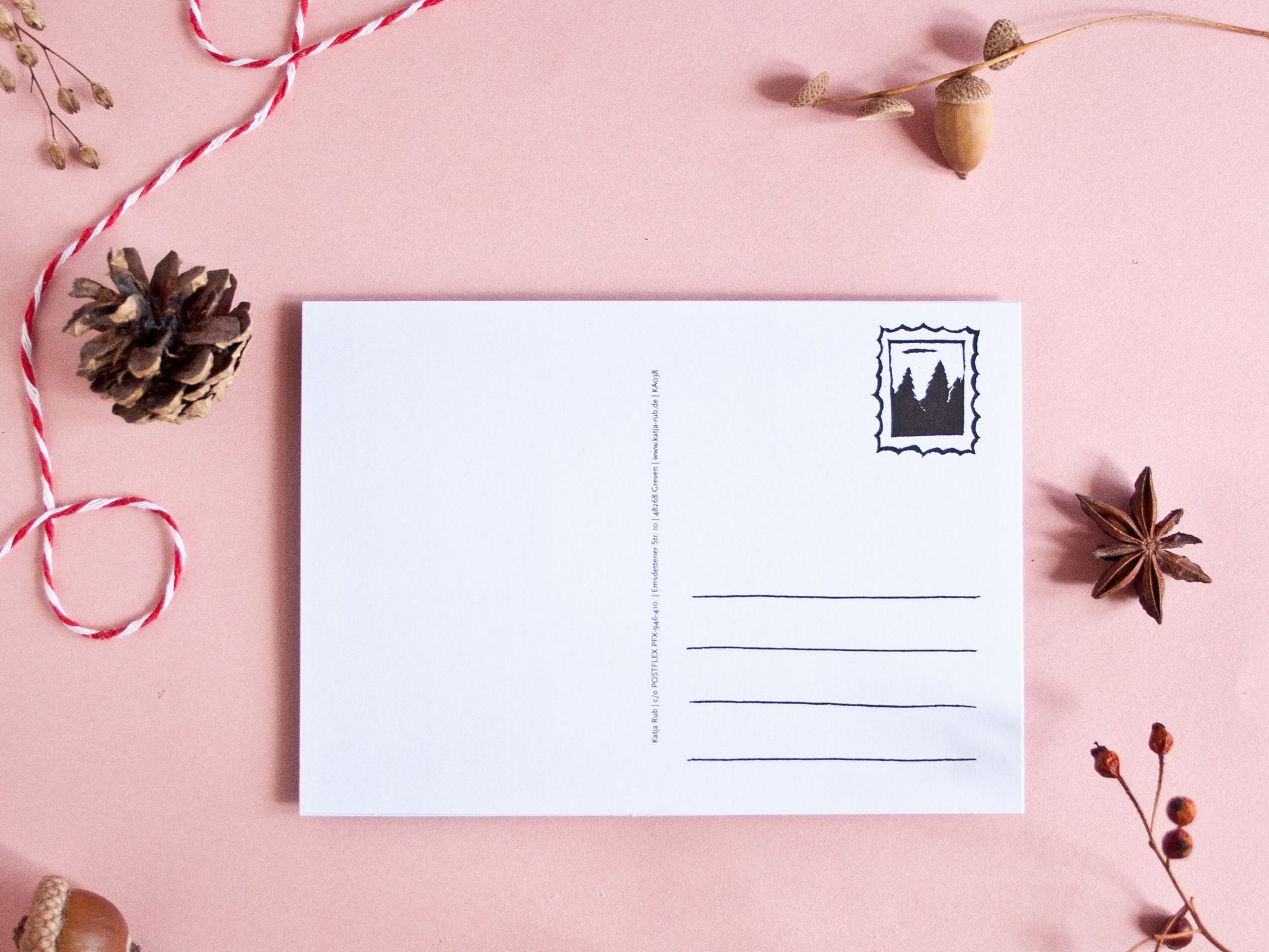 Adventskalender Postkarte Gans A6