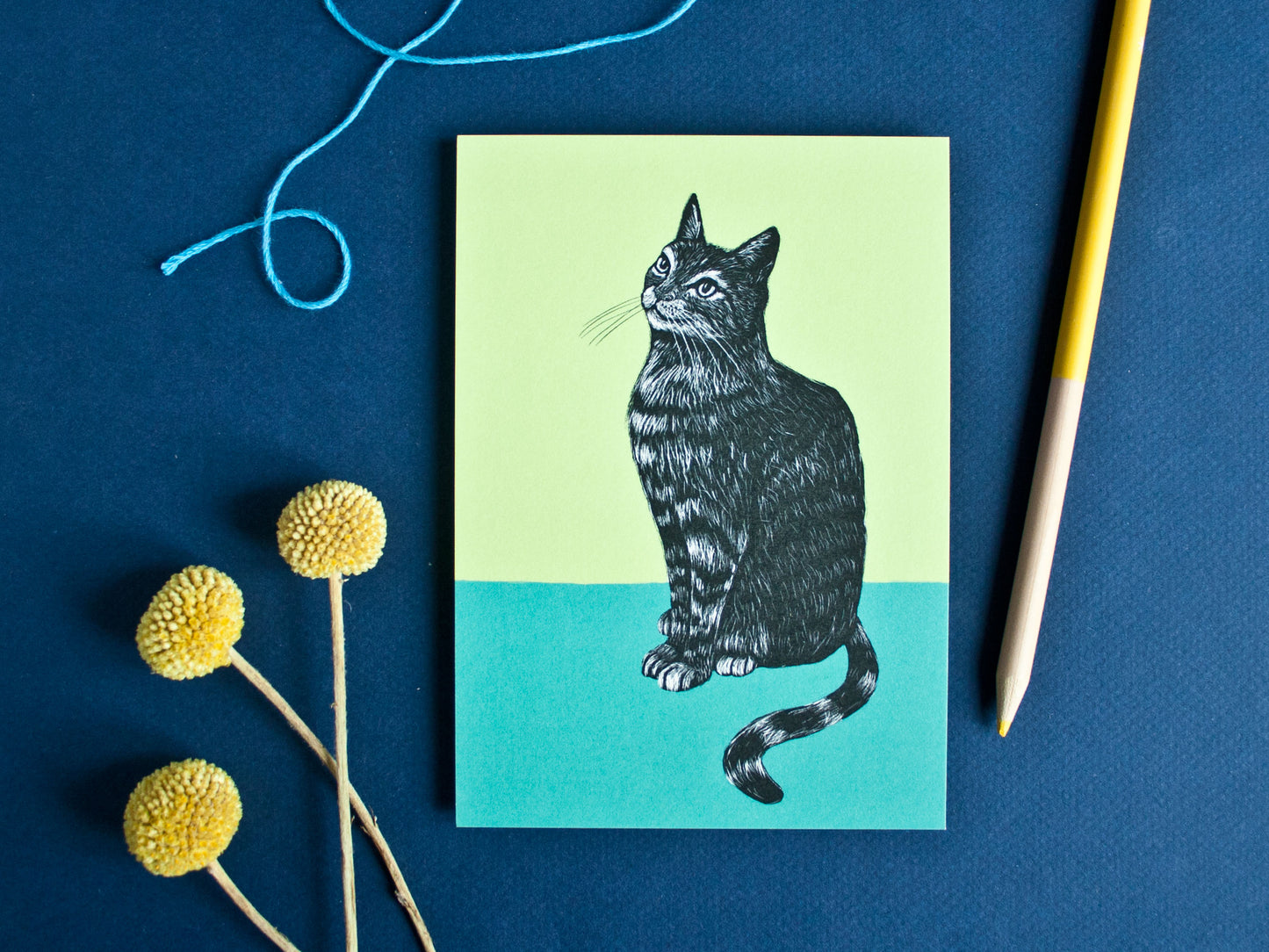 Postkarte Katze A6