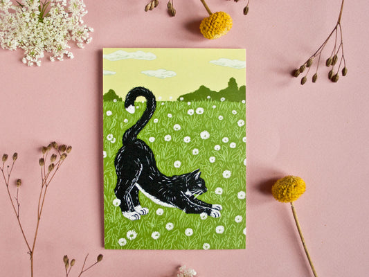 Postkarte A6, Katze auf Löwenzahnwiese