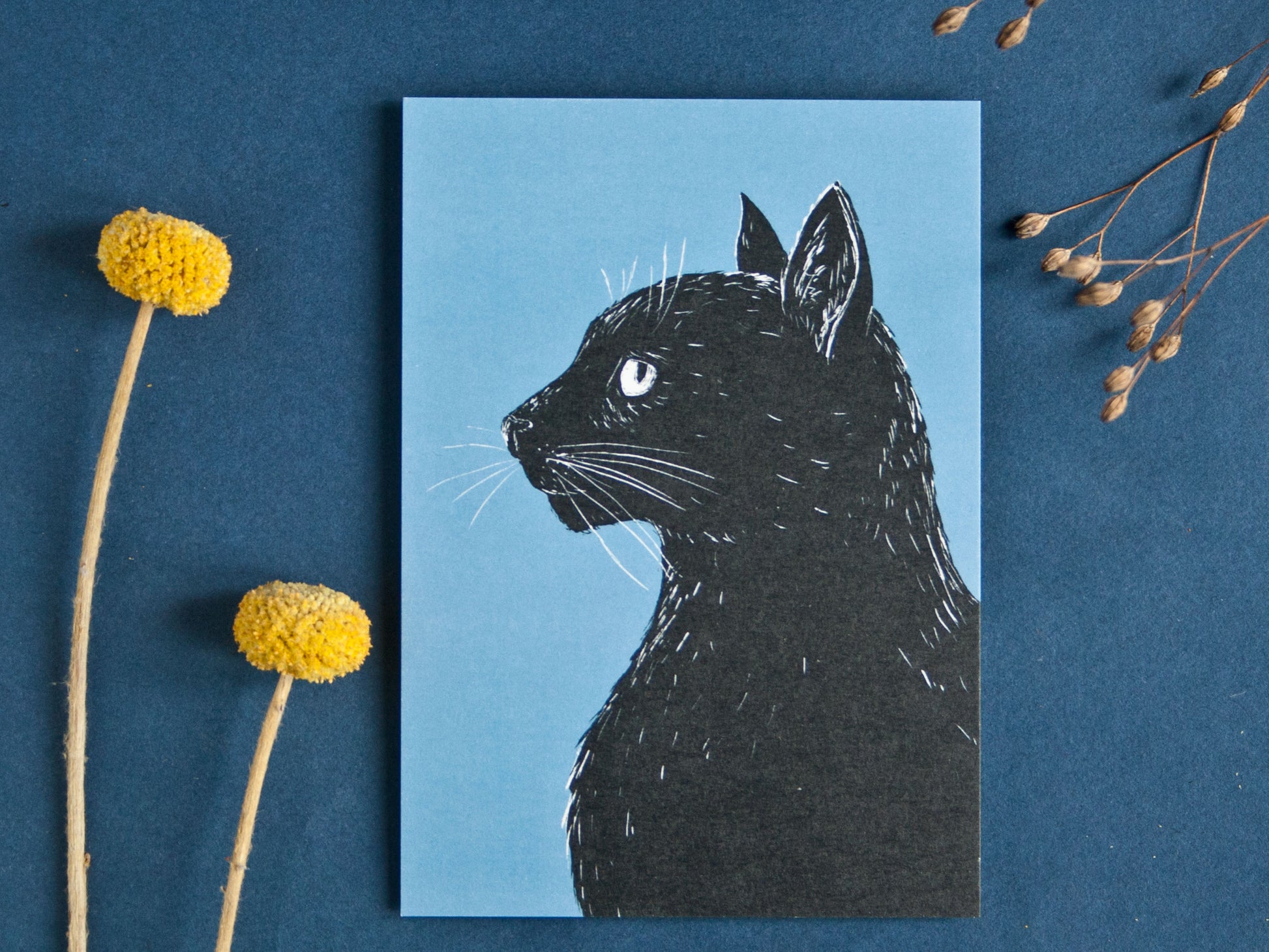 Katze im Profil, Postkarte A6