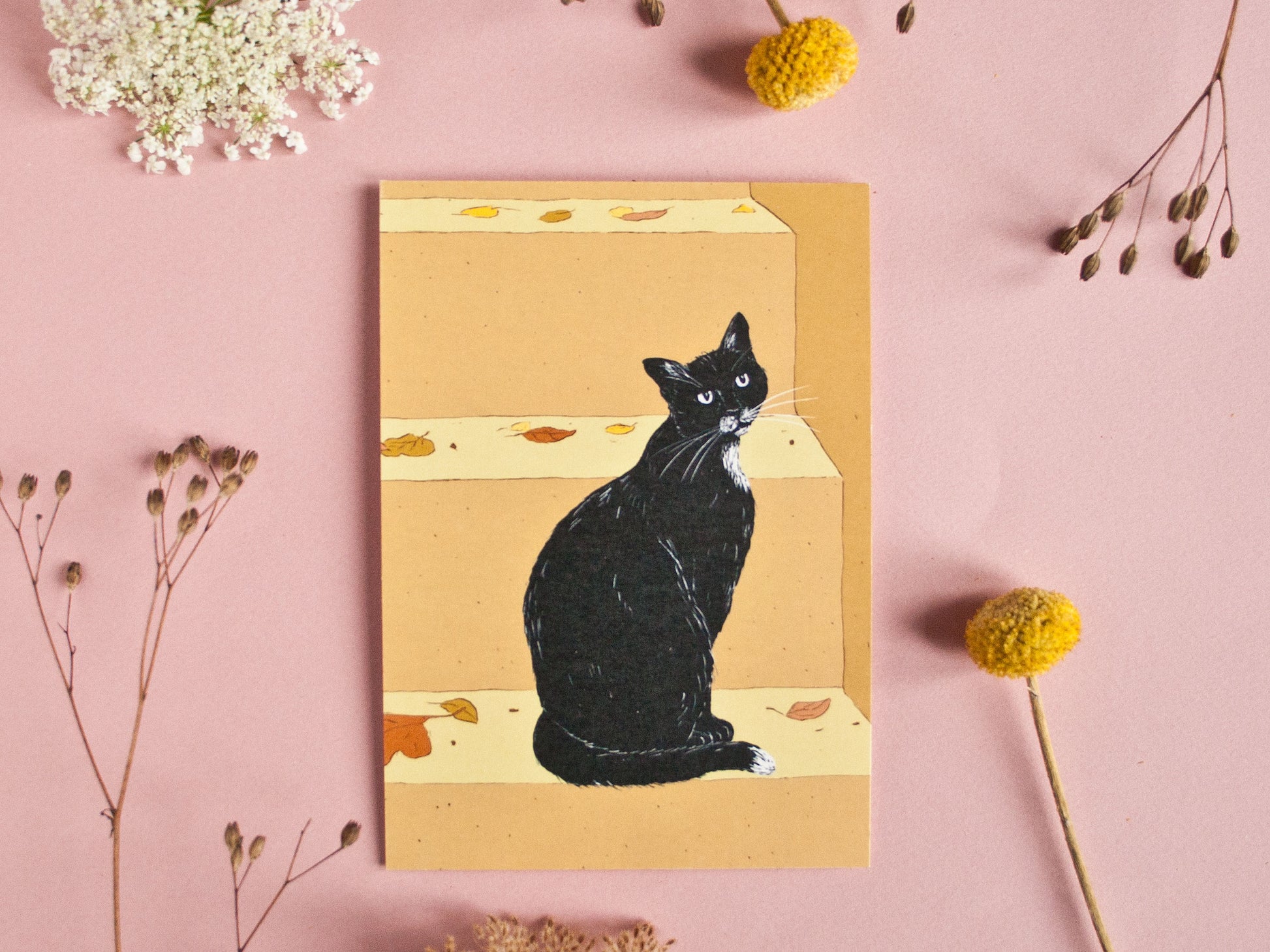Katze auf Treppe, Postkarte A6