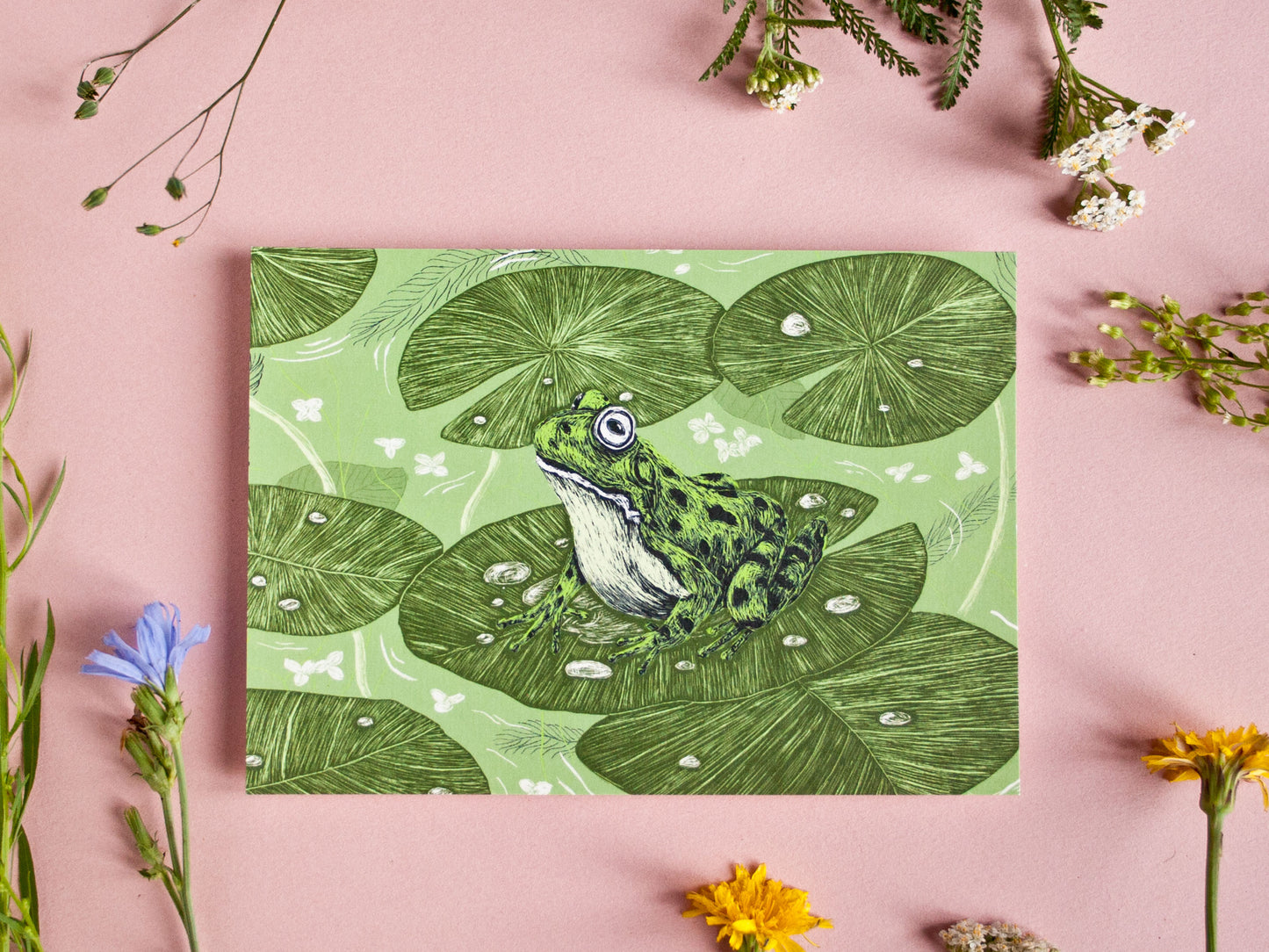 Postkarte Frosch im A6 Format