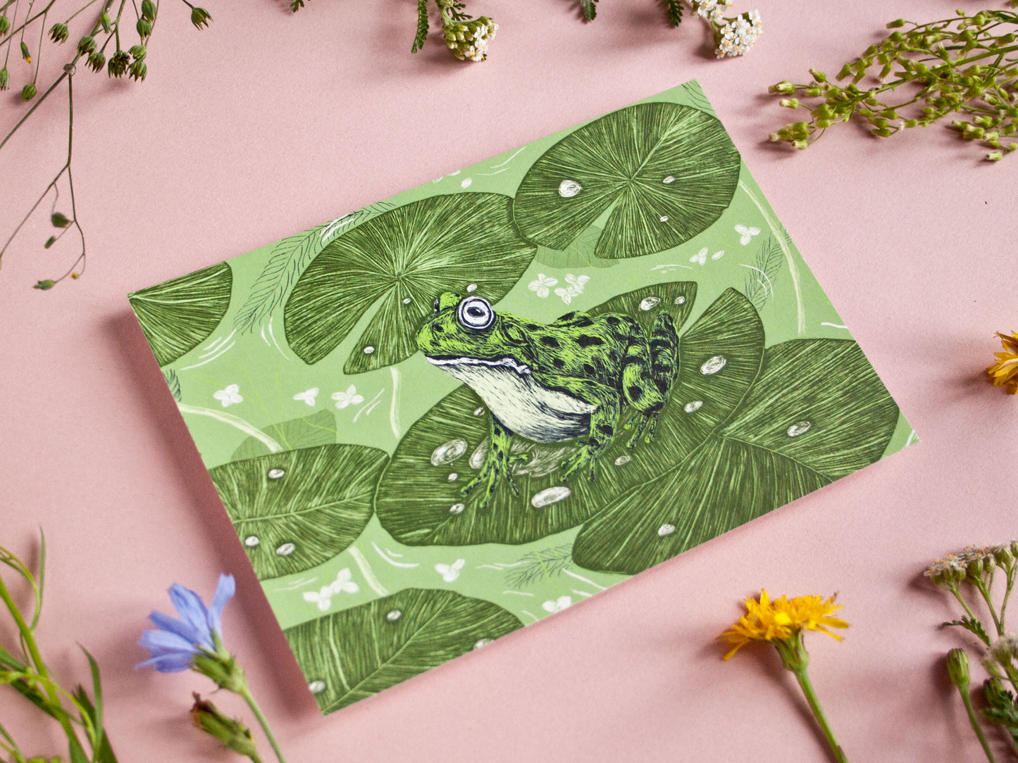 Postkarte Frosch im A6 Format