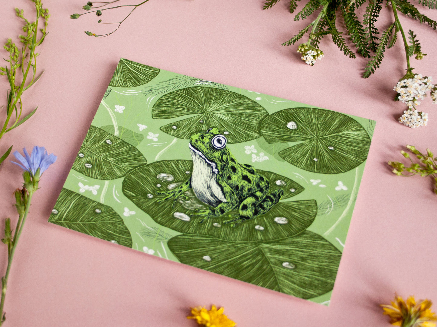 Postkarte Frosch im A6 Format
