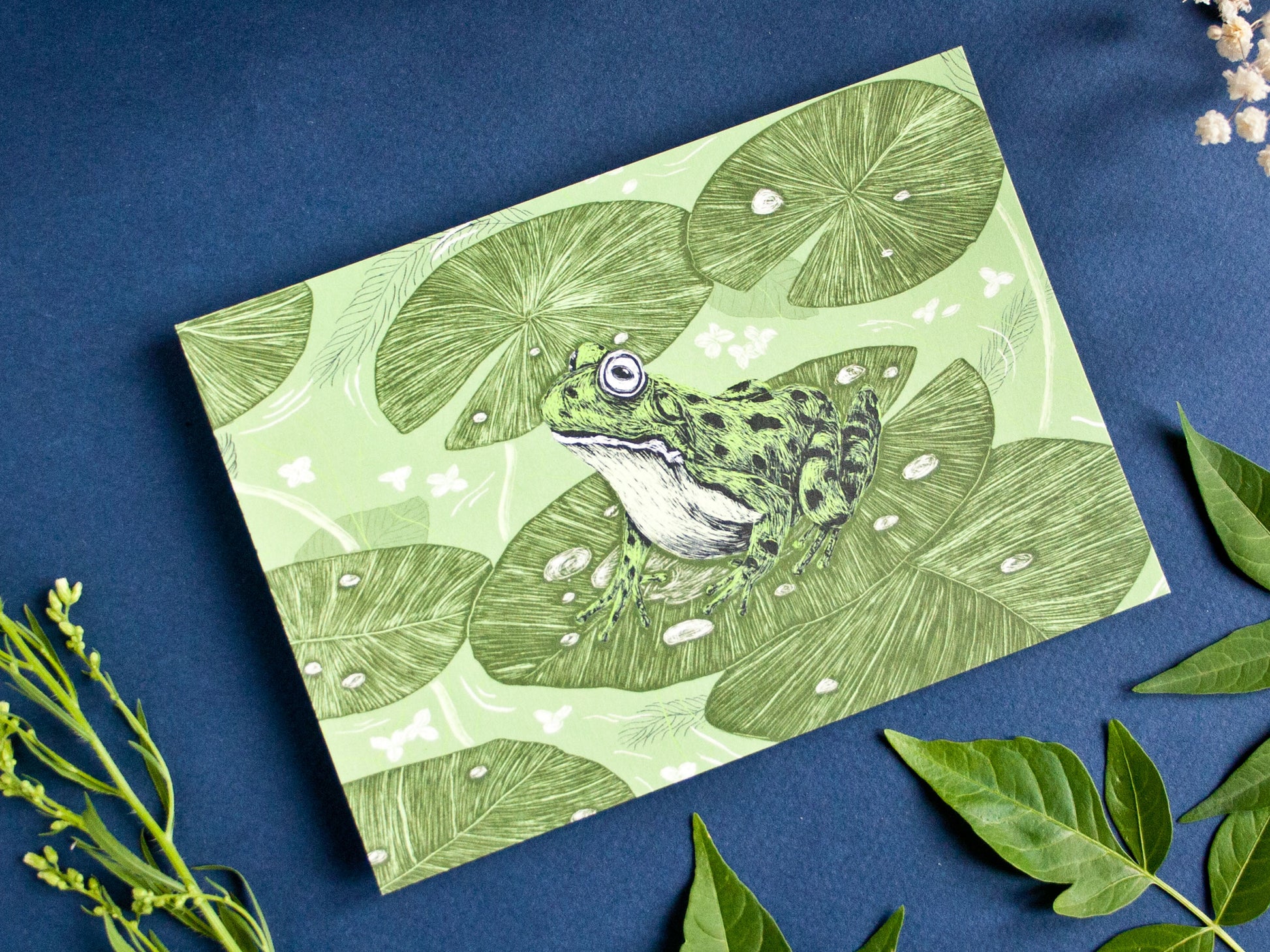 Postkarte Frosch im A6 Format