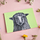 Postkarte Schaf im A6 Format