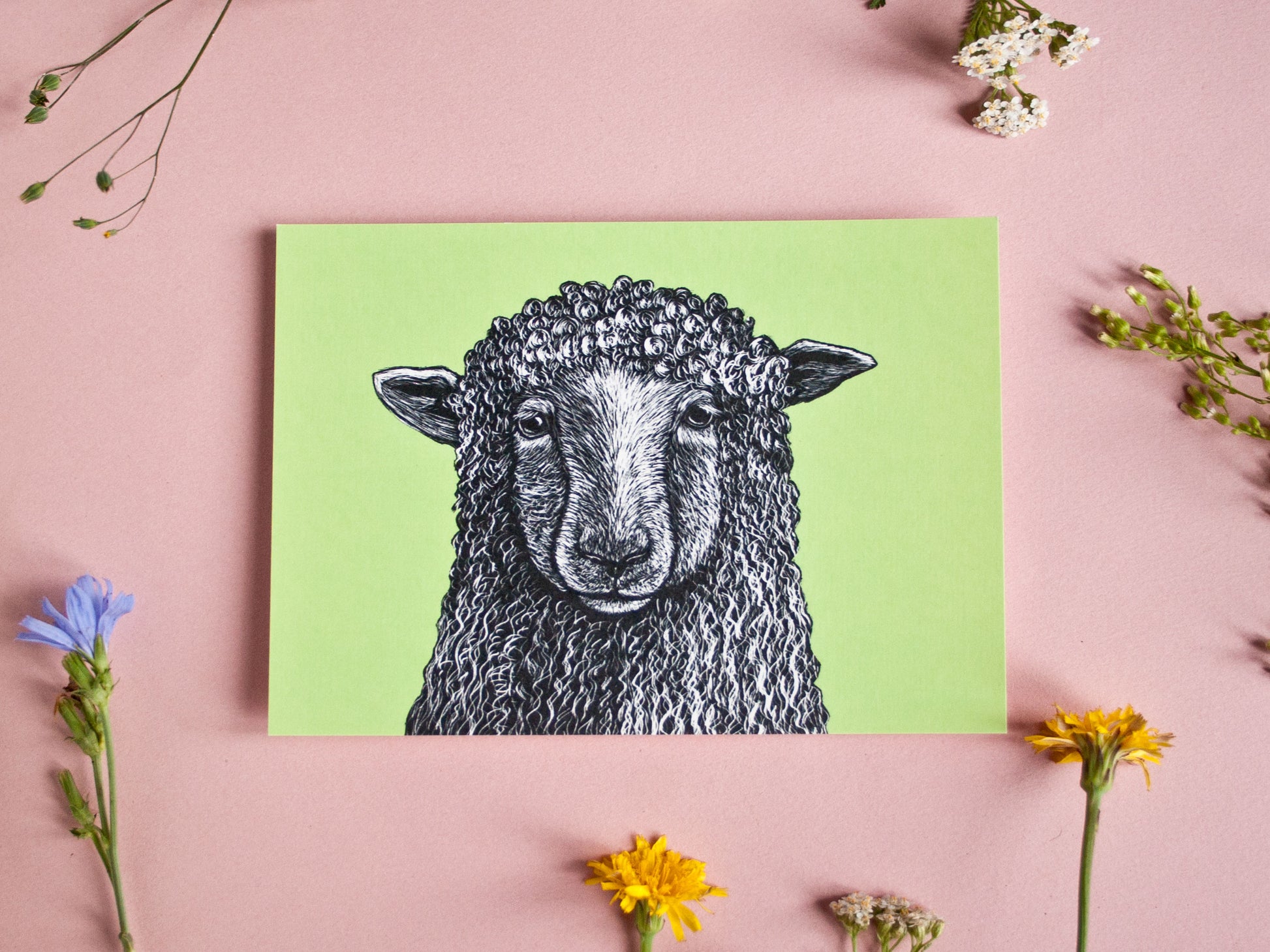 Postkarte Schaf im A6 Format