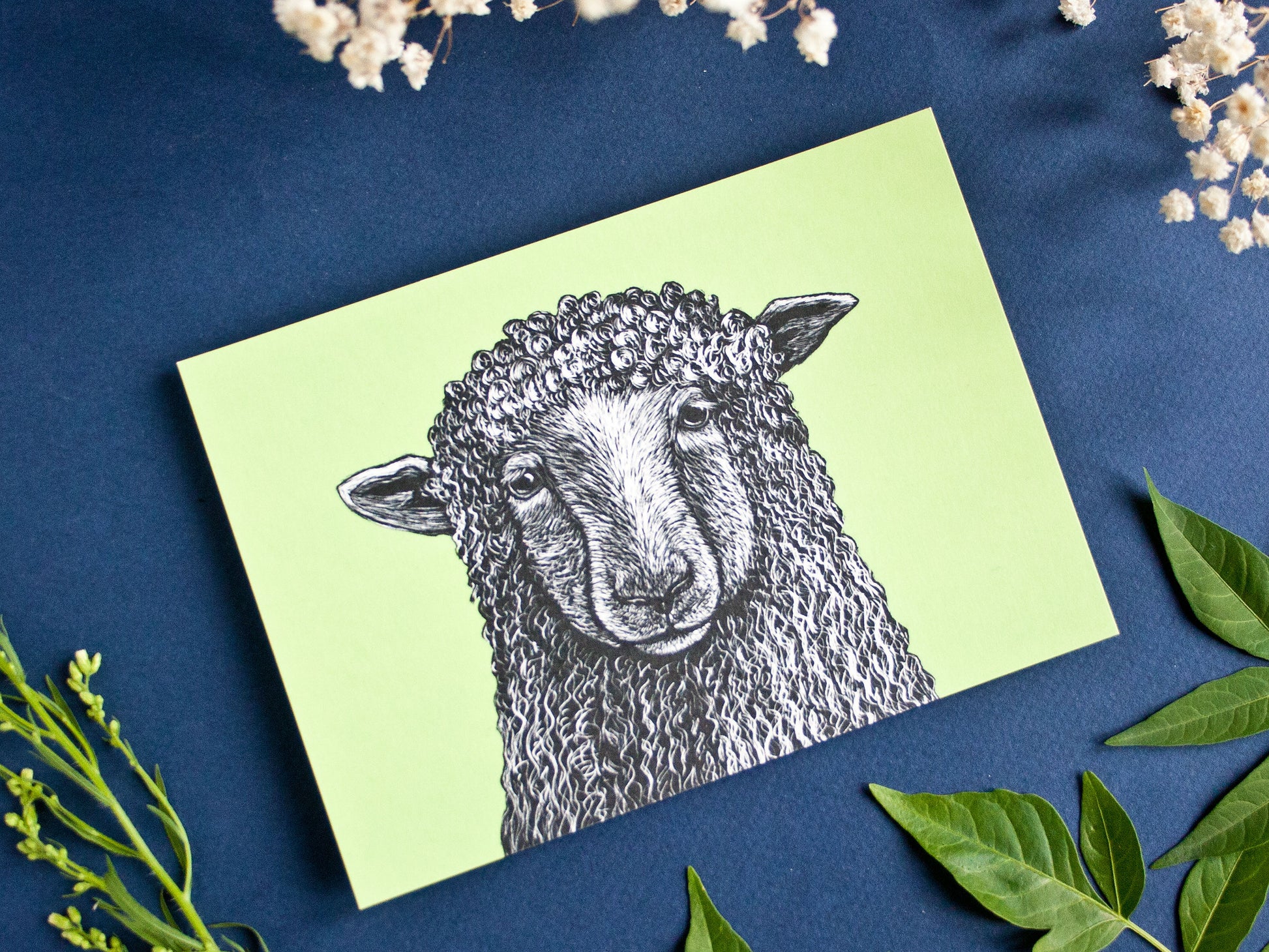 Postkarte Schaf im A6 Format