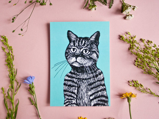 Postkarte Katze im A6 Format