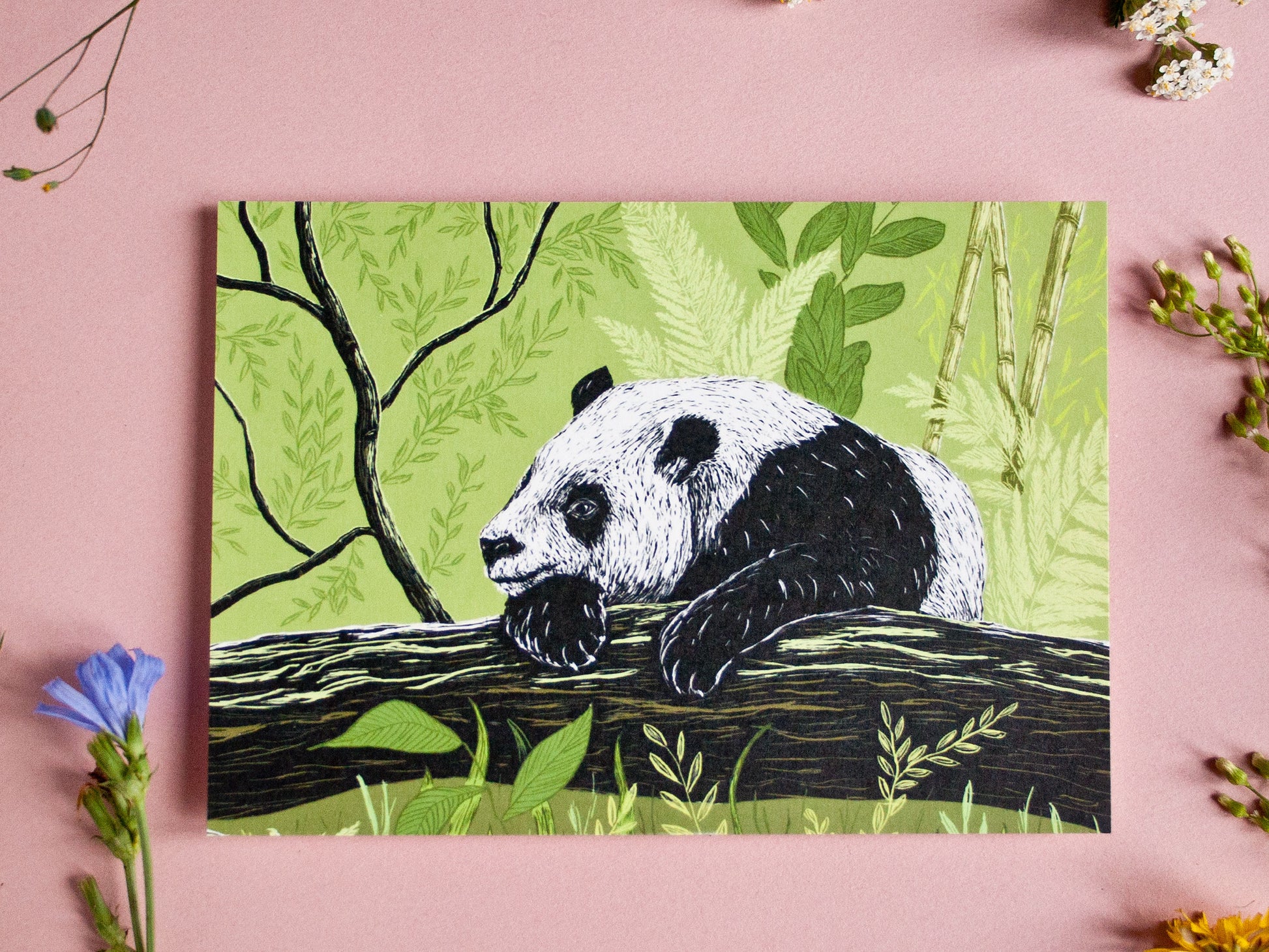 Postkarte Panda im A6 Format