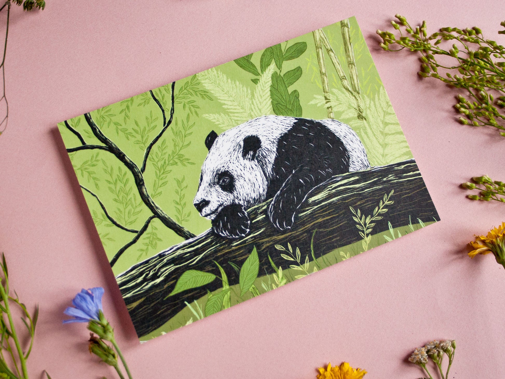 Postkarte Panda im A6 Format