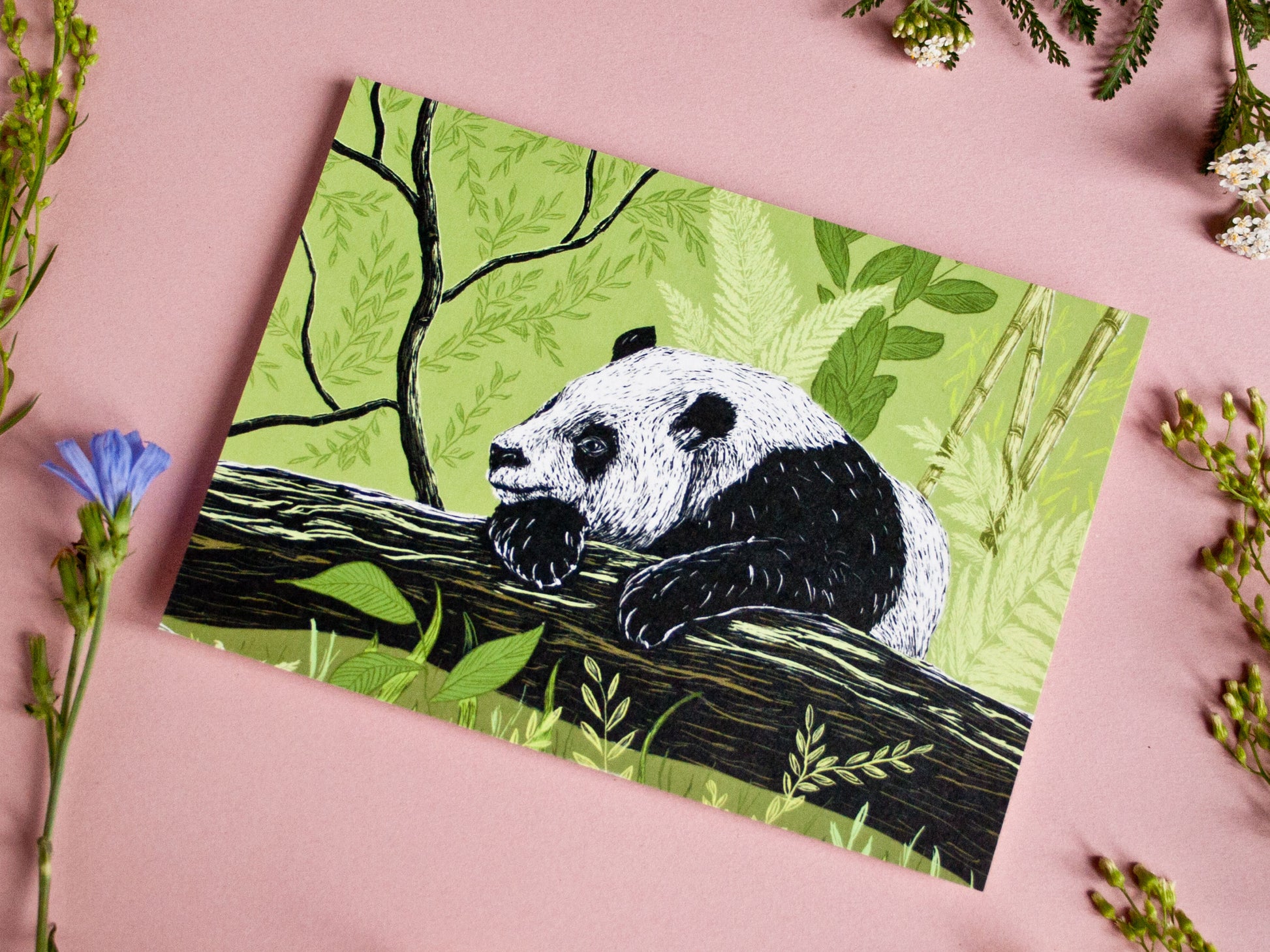 Postkarte Panda im A6 Format