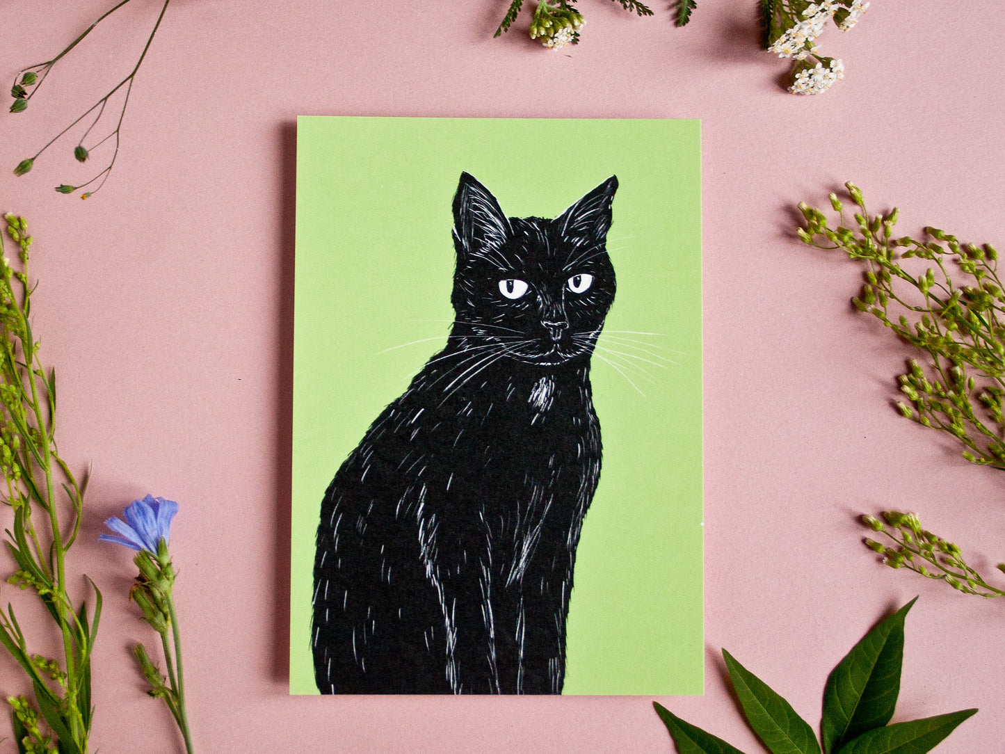 Postkarte Katze, A6