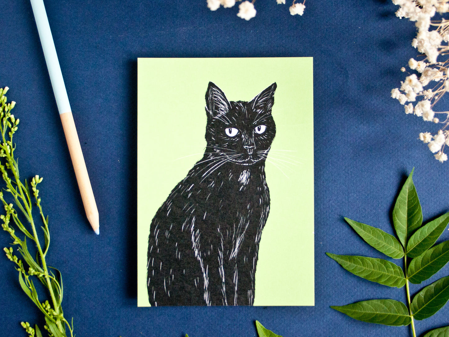 Postkarte Katze, A6