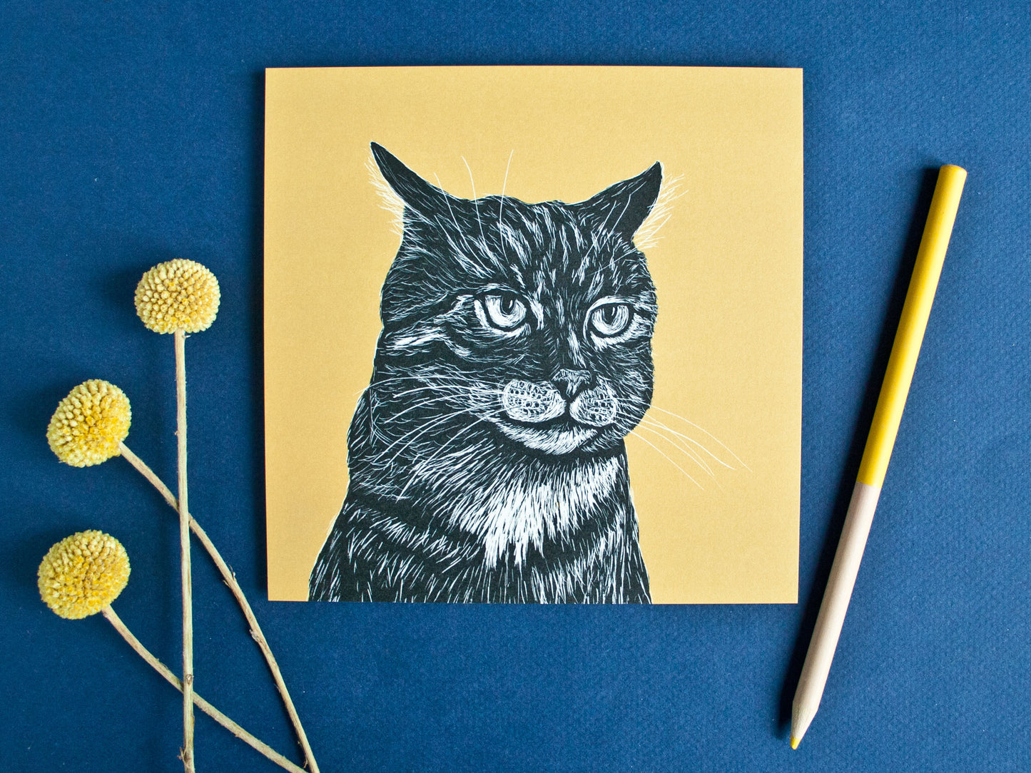 Postkarte Katze